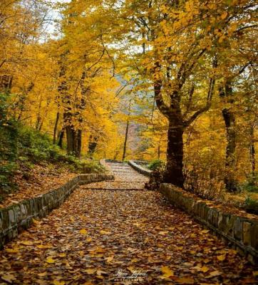 زیبایی مسحور کننده پاییز در طبیعت گلستان +عکس