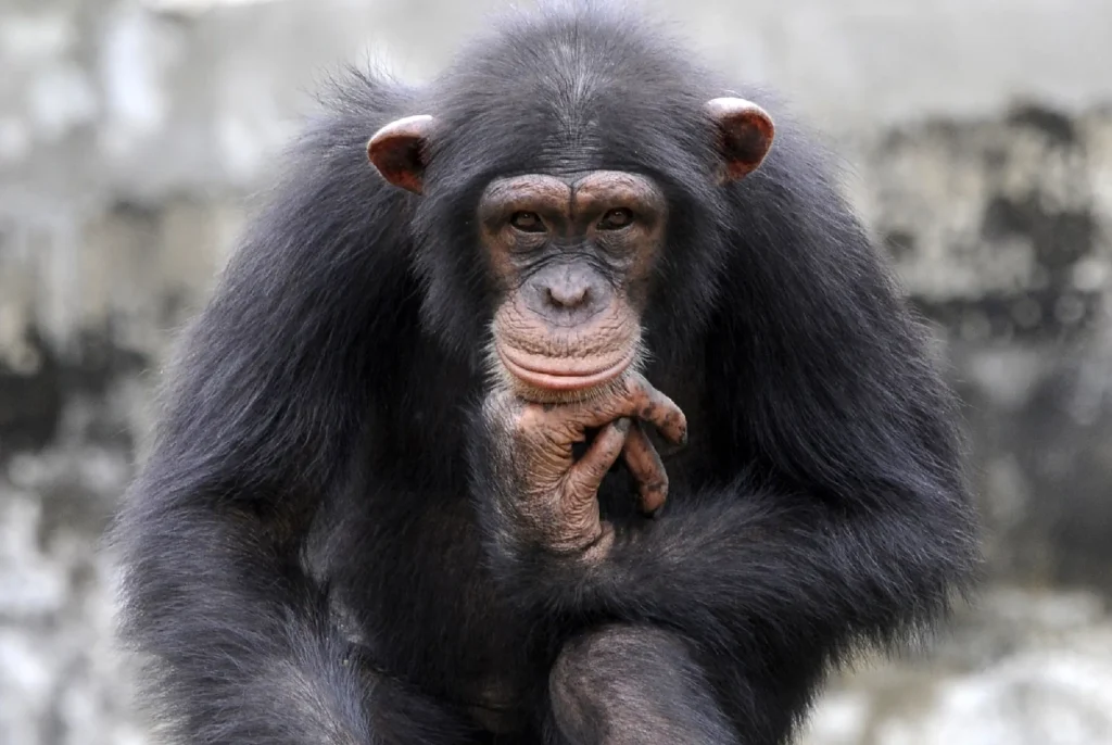 10 واقعیت جالب در مورد بیماری ایدز و ویروس اچ آی وی