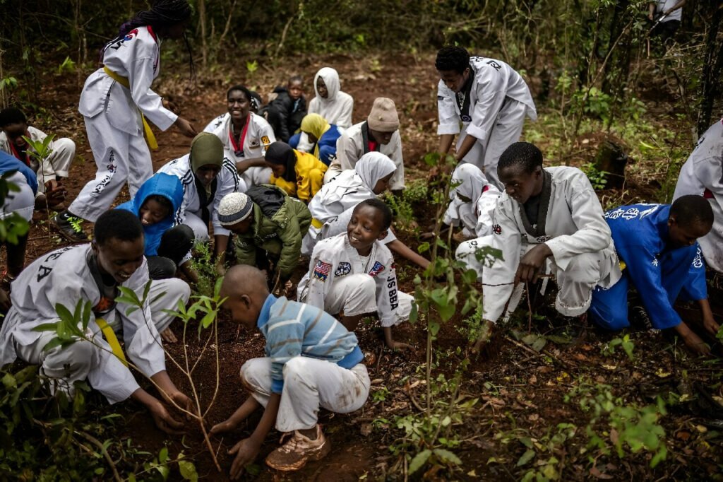 کاشت درخت در مکان‌های نامناسب می‌تواند زمین را گرم‌تر کند