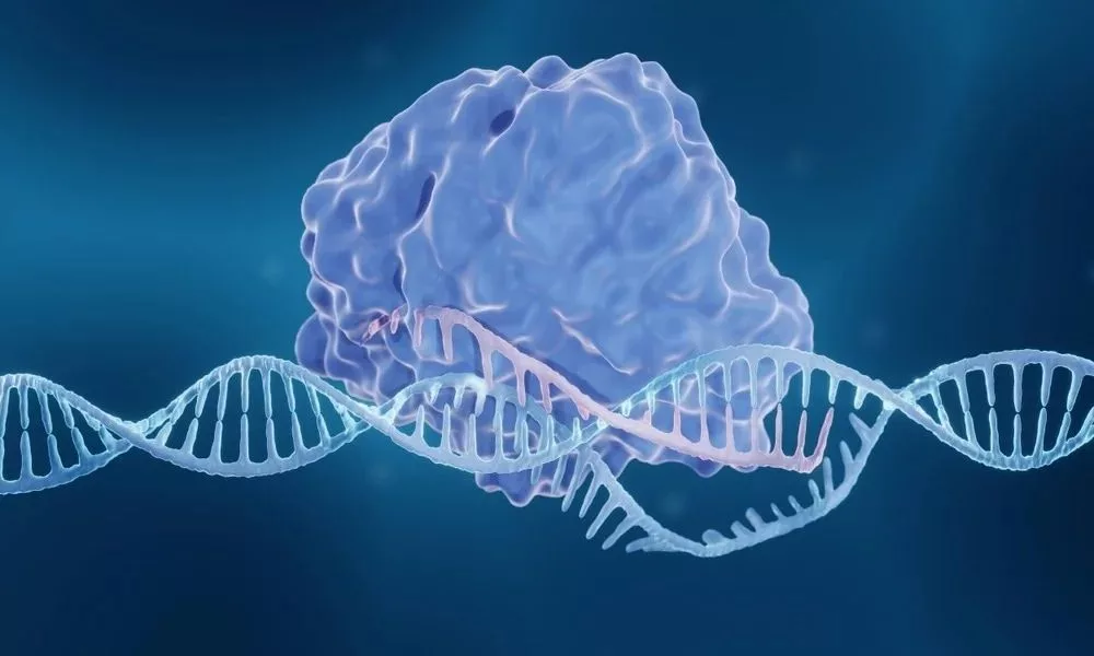 اصلاح ژن CRISPR