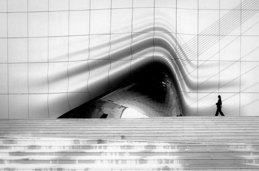 1722099279 388 تصاویر برتر مسابقه عکاسی شهری 2024 اشکار شدند دانستنی