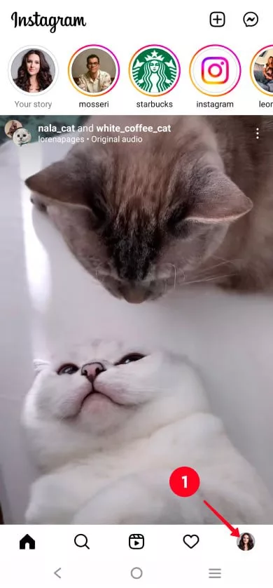 1723656931 947 ساده‌ترین روش تشکیل لینک واتساپ آموزش گذاشتن در بیو.webp