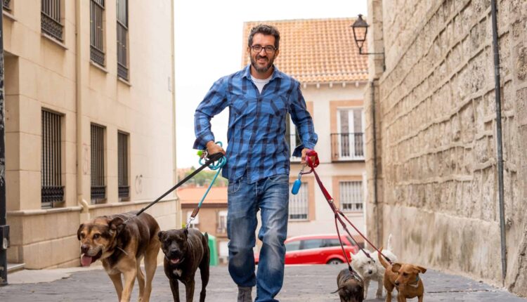 1723728304 760 ۲۷ ایده شغل دوم دو نظر پول‌ساز برای در