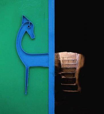 تصویری خارق العاده که یک عکاس ایرانی ثبت کرد