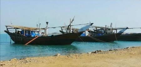 ساحل زیبای خلیج‌فارس در مردادماه امسال