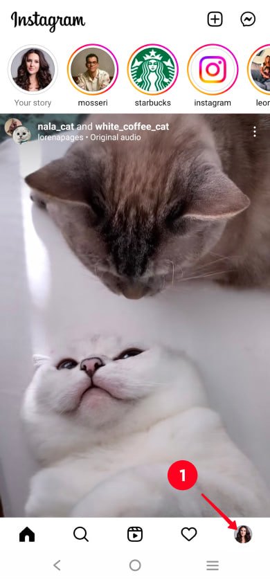 ساده‌ترین روش تشکیل لینک واتساپ آموزش گذاشتن در بیو