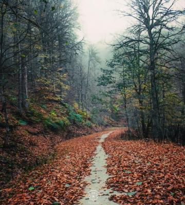 اینجا کلاردشت مازندران است در فصل پاییز