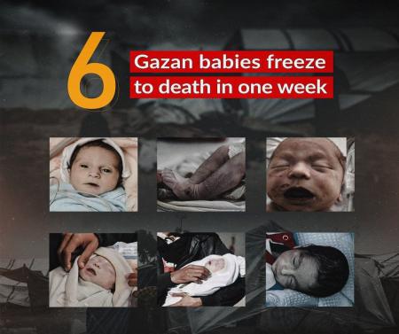 تصاویری از ۶ کودک فلسطینی که در یک هفته اخیر یخ زده و جان باختند