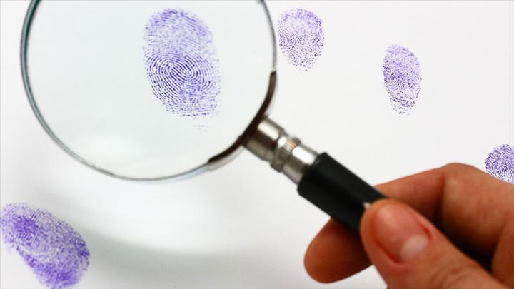 با کشف شباهت‌ها دریابیم چکونه زبان انگلیسی را سریع یاد بگیریم