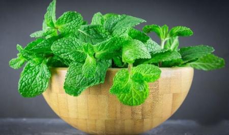 مواد غذایی مفیدی که مثل داروی ضدتهوع عمل می‌کنند