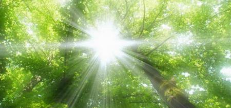 نور خورشید؛ ویتامین رایگان برای مغز و روح