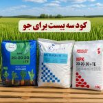 کود سه بیست برای جو