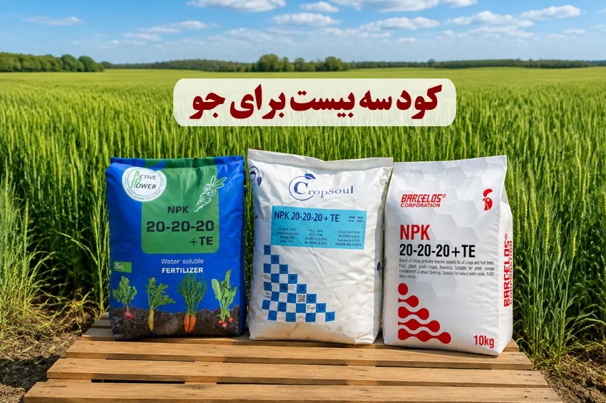 کود سه بیست برای جو